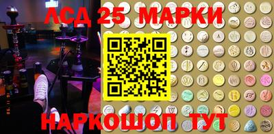 шишки Бийск