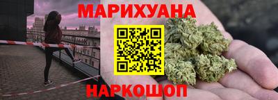 шишки Бийск