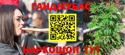 шишки Бийск