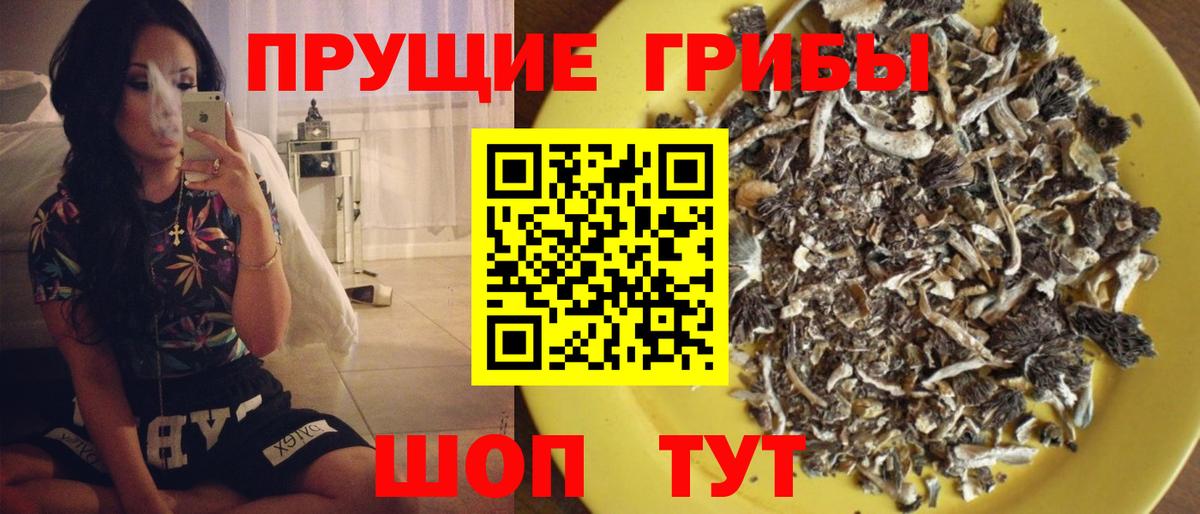 Галлюциногенные грибы мицелий Кимовск