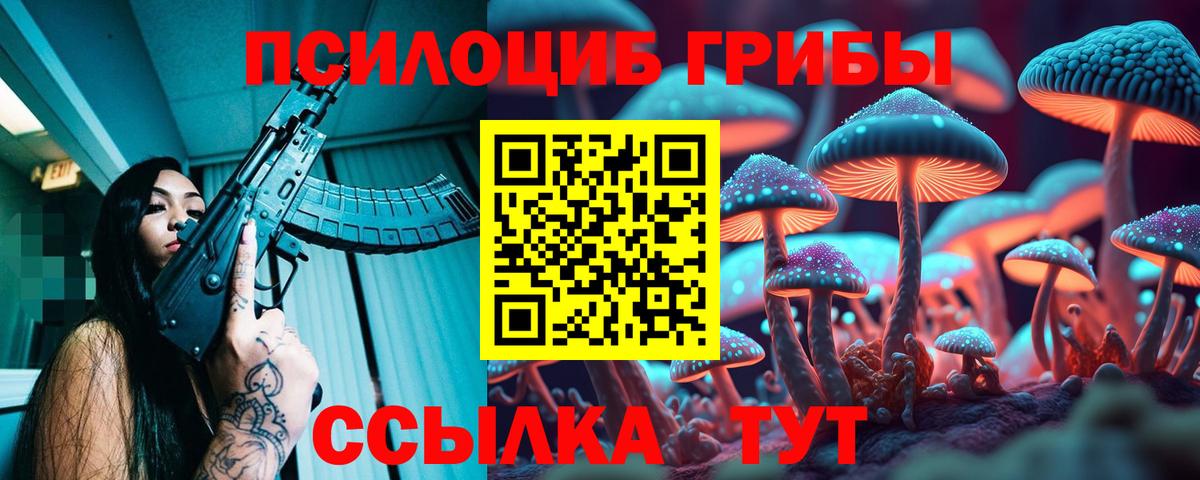 Кимовск  Псилоцибиновые грибы прущие грибы  Вход с VPN 
